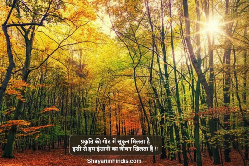 200+ Nature Shayari in Hindi 🌿 | प्रकृति पर शायरी